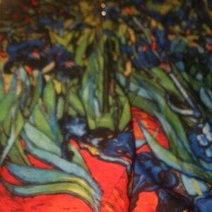 Van Gogh Style Light Weight Shirt with Front Zipper Size Large